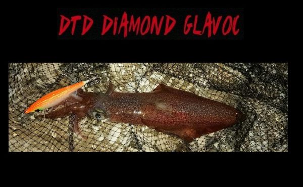 Καλαμαριέρα DTD Diamond Glavoc 1,0 - Image 3