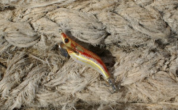 Καλαμαριέρα DTD Real Fish Egi 1.8 - Image 7