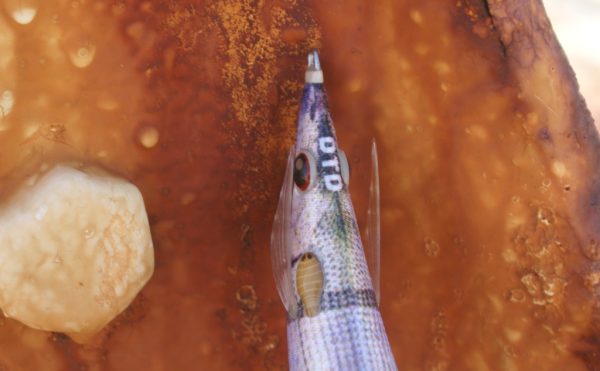 Καλαμαριέρα DTD Real Fish Egi 2.5 - Image 6