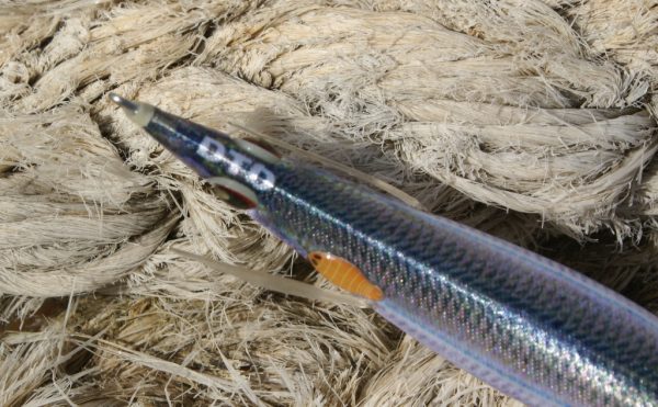 Καλαμαριέρα DTD Real Fish Egi 2.5 - Image 7