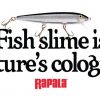Ψαράκι RAPALA XRap Saltwater 12 - Image 3