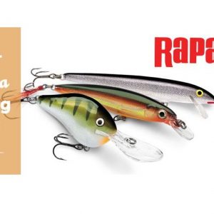 Ψαράκι RAPALA XRap Saltwater 10