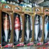 Καλαμαριέρα DTD Weak Fish Buckva 2,0 - Image 3
