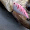 Ψαράκι YO ZURI Crystal Minnow Floating 13 - Image 3